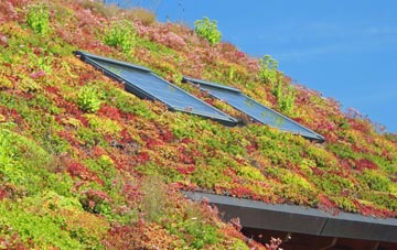 Tetbury Upton living roof systems