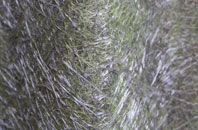 Tetbury Upton fibreglass roof work